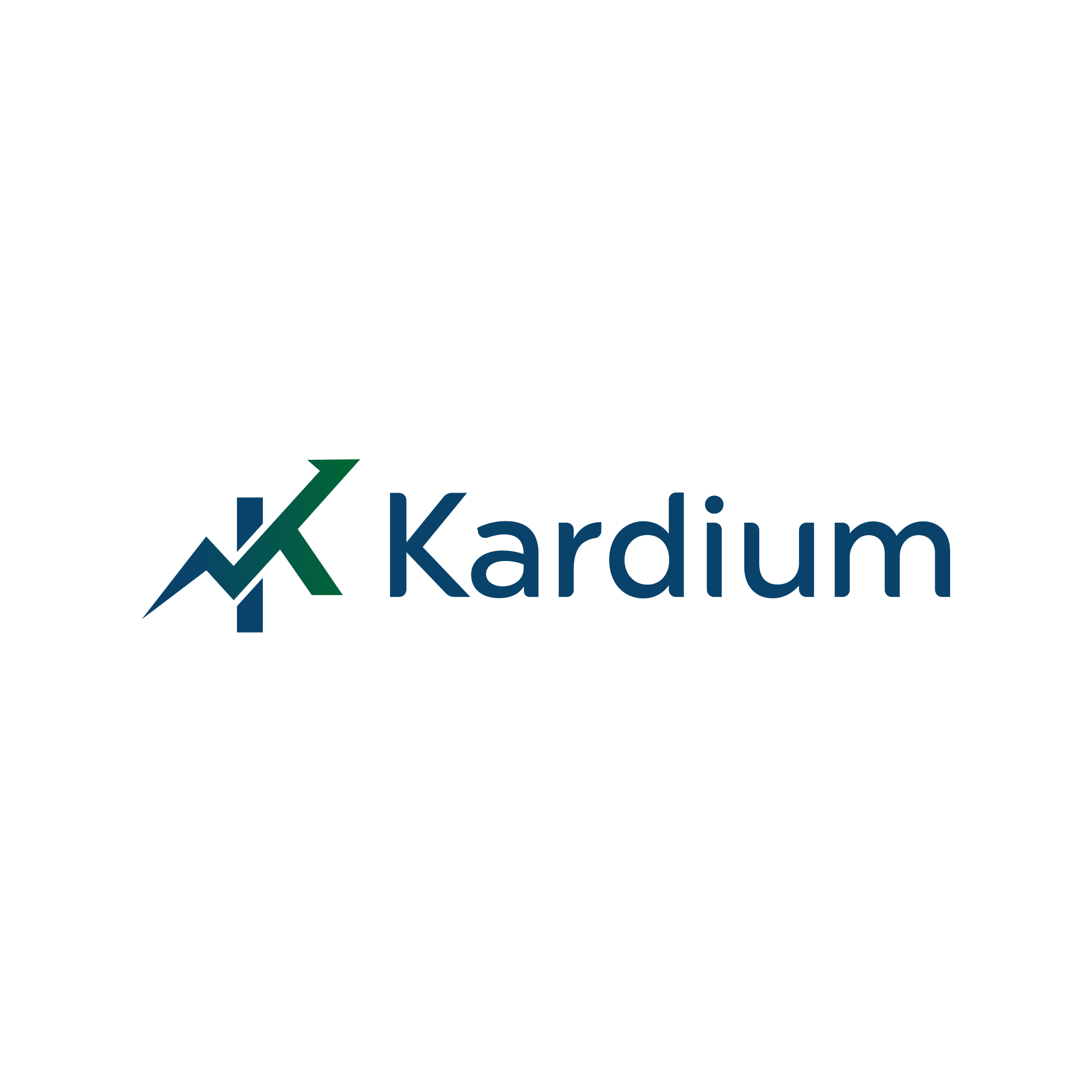 Logo do projeto Kardium